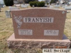 Stephen J Franyish