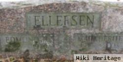 Edmund N. Ellefsen