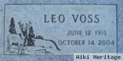 Leo Voss