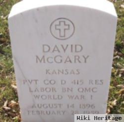 David Mcgary