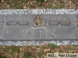 Dana M. Wells