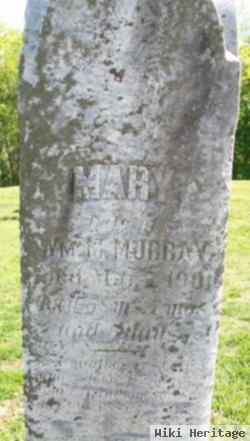 Mary Murray