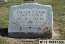 Andrew P Lark