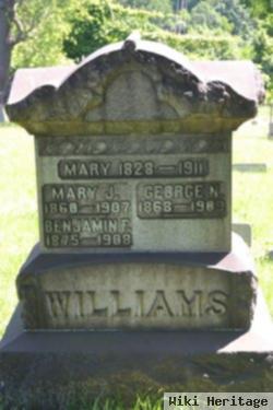 George N Williams