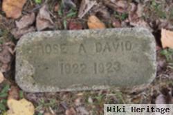 Rose A. David