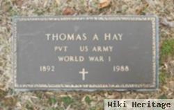 Thomas A. "tommy" Hay