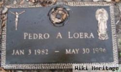 Pedro A Loera