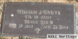 William J Grove