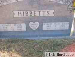 Robert Bruce Hibbetts