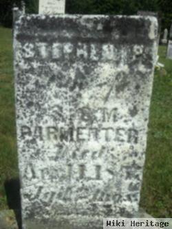 Stephen P Parmenter