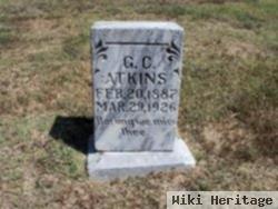 G C Atkins