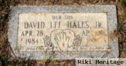 David Lee Hales, Jr