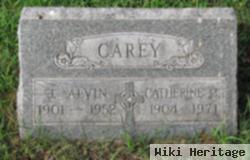 Catherine Mary Happel Carey