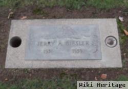 Jerry Austin Giesler