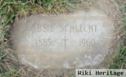 Susan M Schlecht