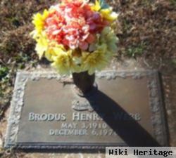 Brodus Henry Webb