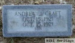 Andrew J Craft