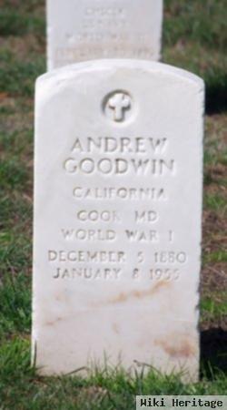 Andrew Goodwin