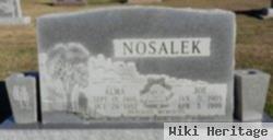 Joe Nosalek