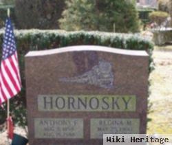 Anthony F Hornosky