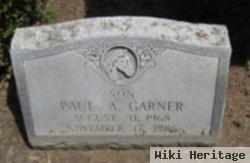 Paul A Garner