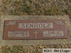 Earl Robert Senholz