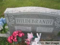 Theodore L. Hildebrandt