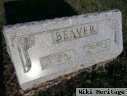 William J Beaver