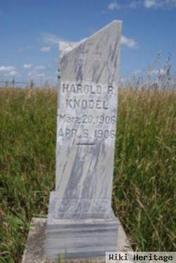 Harold R. Knodel