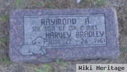 Raymond A Bradley