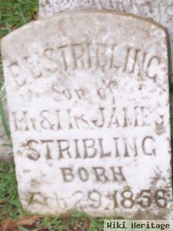 E. L. Stribling