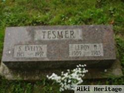 Leroy H. Tesmer