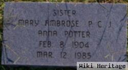 Mary Ambrose Potter