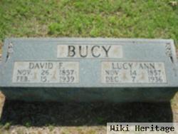 David F Bucy