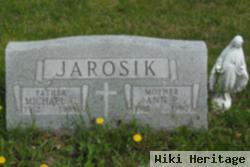 Ann R Jarosik