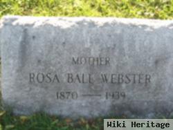 Rosa Ball Webster