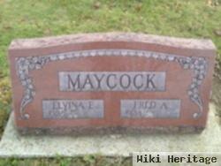 Elvina E Maycock