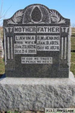 Lavina A. Anderson Jenkins