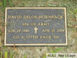 David Delos Hornback