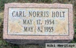 Carl Norris Holt