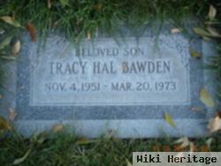 Tracy Hal Bawden