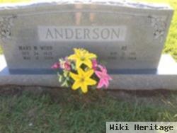 R. E. Anderson