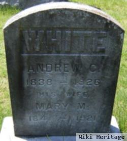 Andrew C White