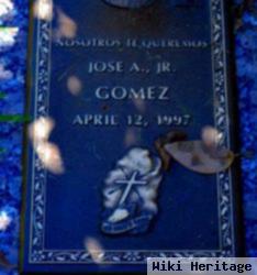 Jose A Gomez