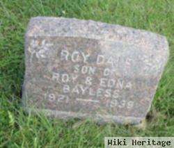 Roy D Bayless