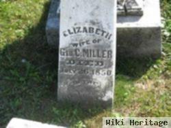 Elizabeth Cunningham Miller