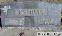 Robert S. Dvorak