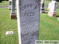 John N Reed