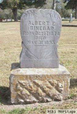 Albert E. Binegar