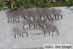 Bruno David Gernt